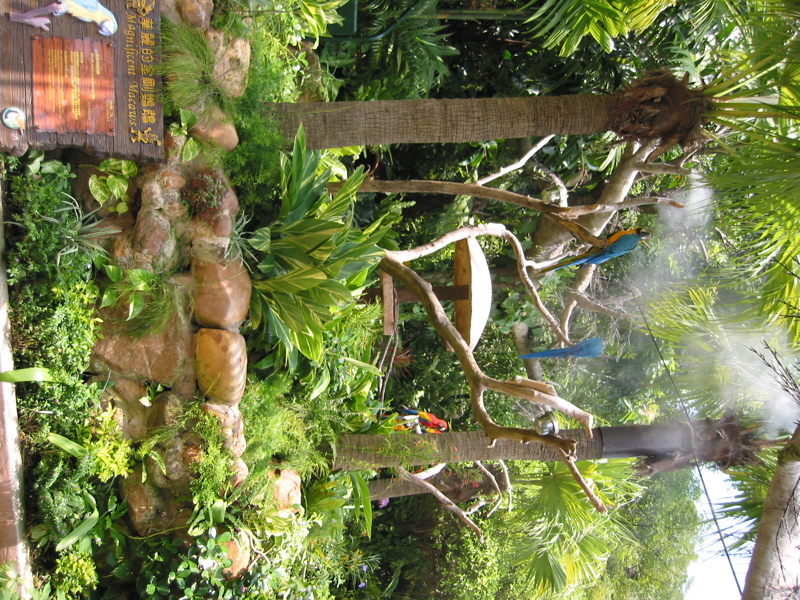 Ocean Park 004