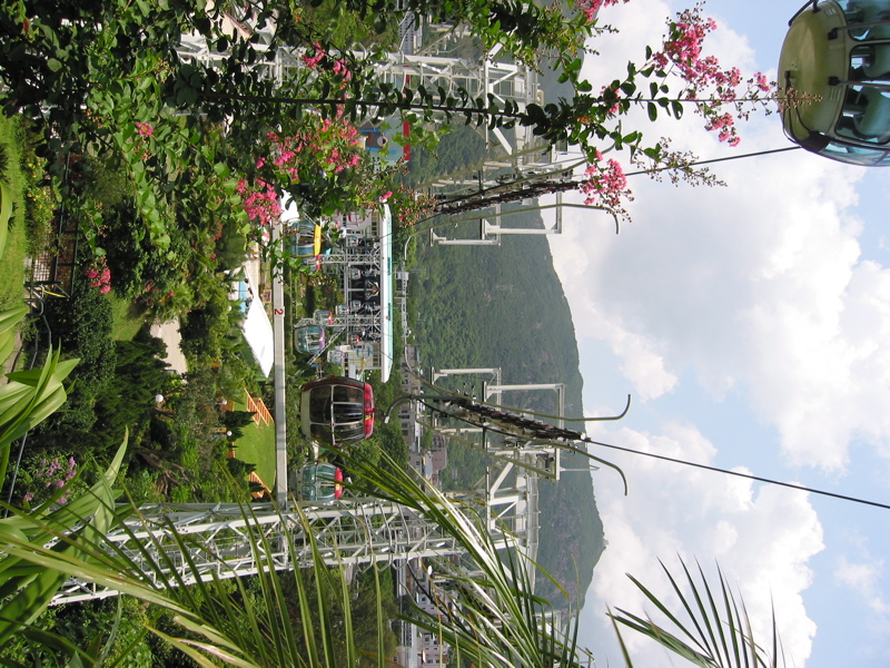Ocean Park 008