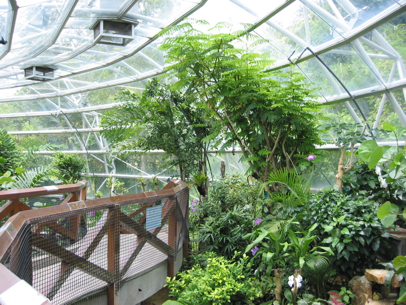 Ocean Park 010