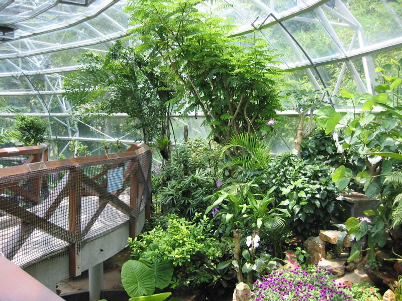 Ocean Park 011