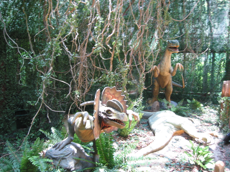 Ocean Park 014