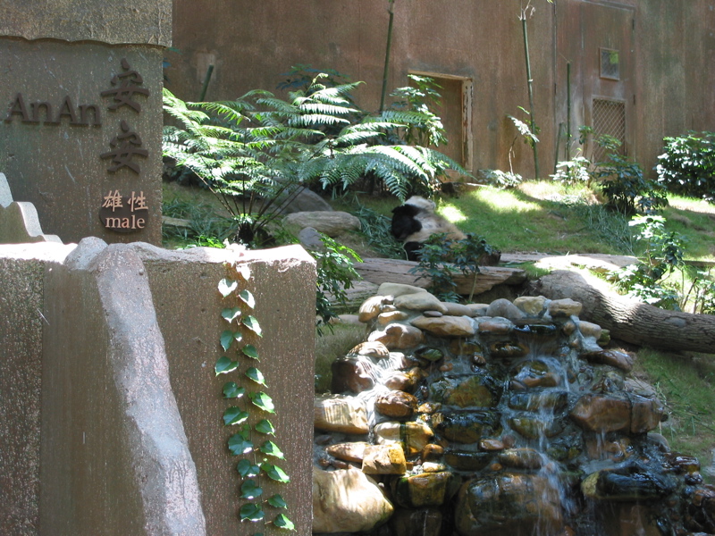 Ocean Park 019