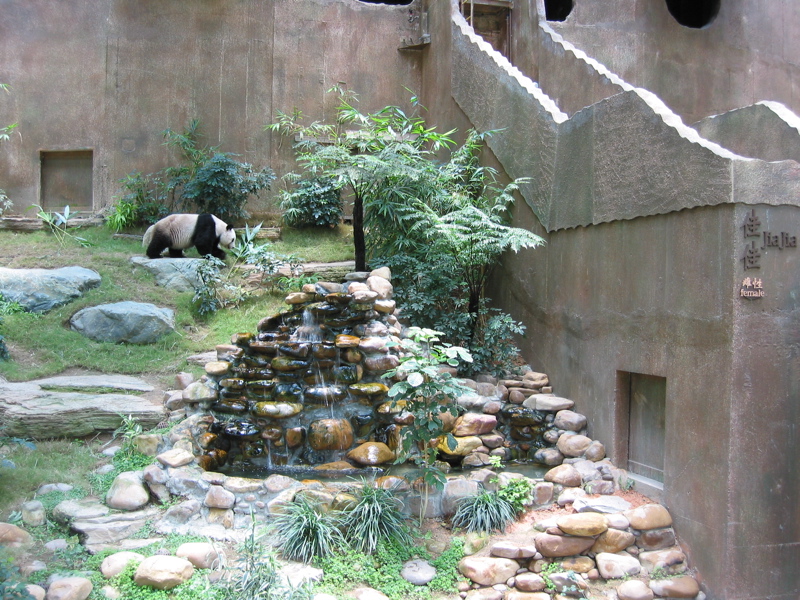 Ocean Park 024