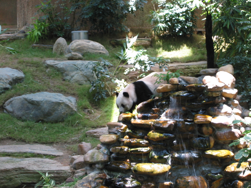 Ocean Park 025