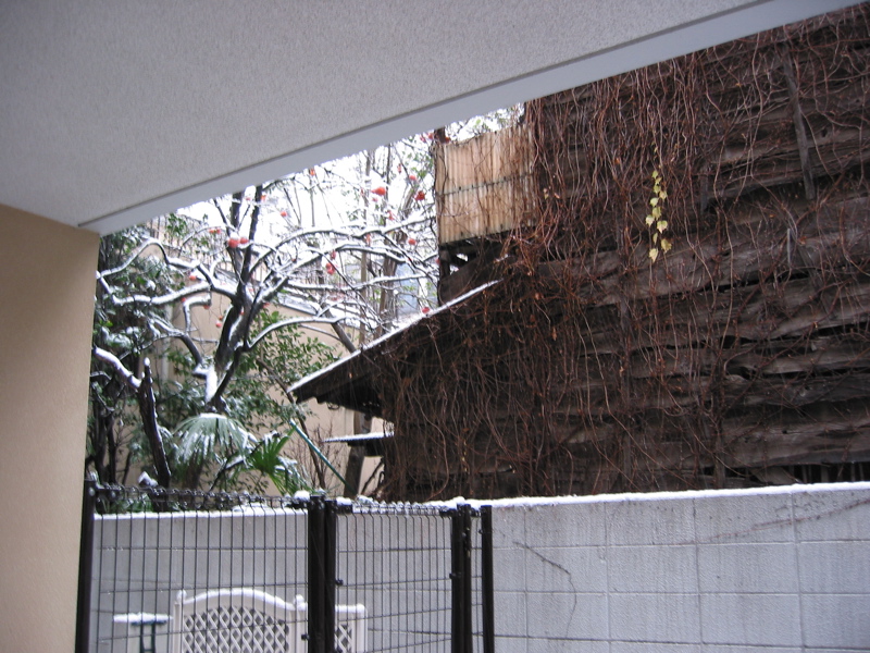 Toyko - Snow 004