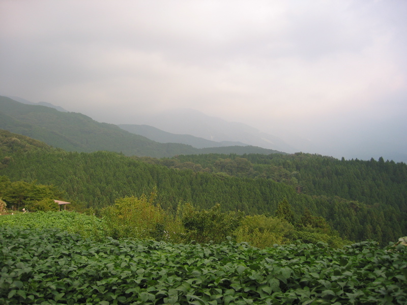 IMG_1900.JPG