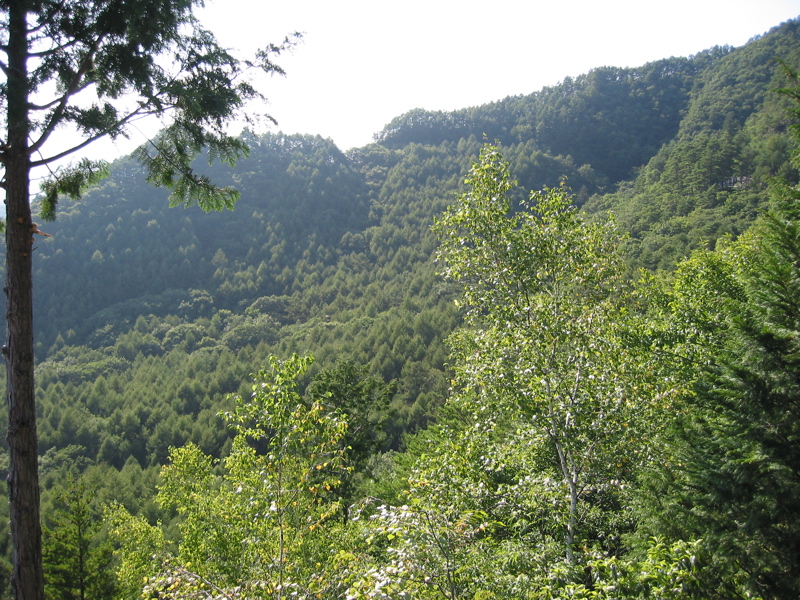IMG_1990.JPG