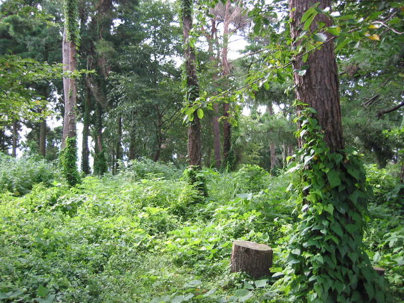 IMG_2547.JPG