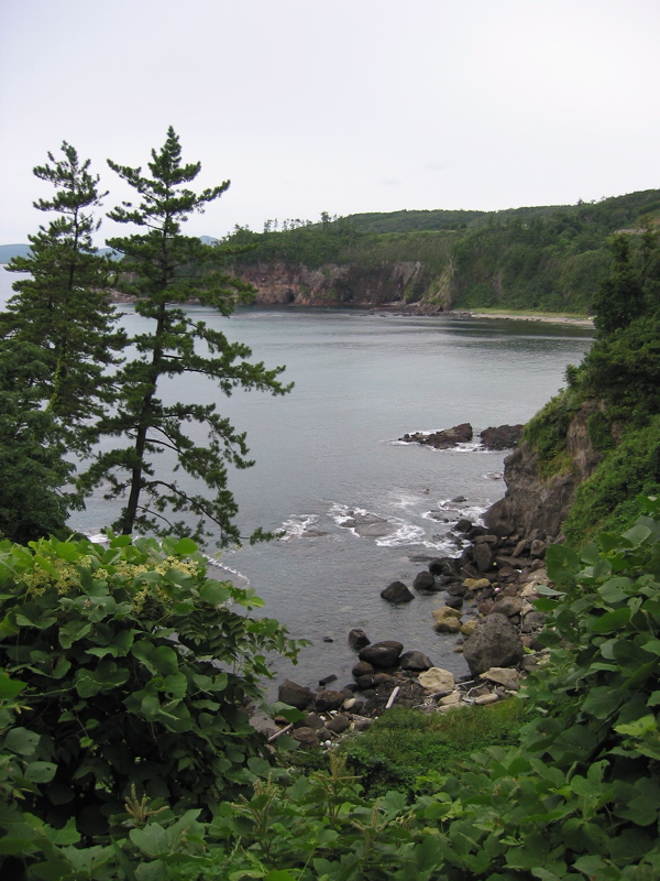 IMG_2567.JPG