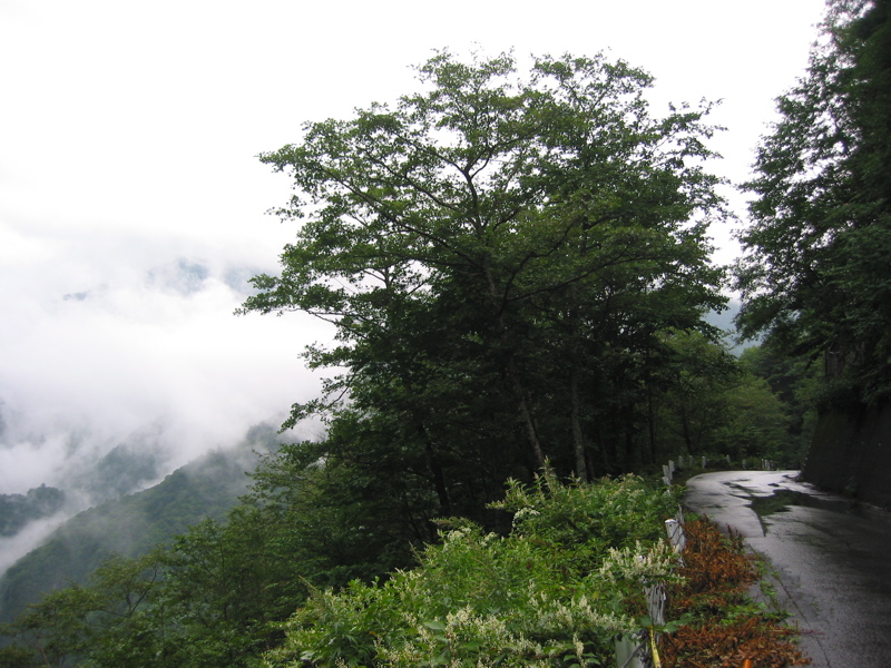IMG_2673.JPG