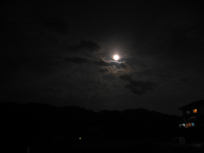 IMG_2695.JPG