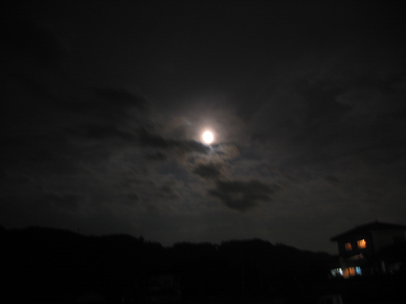 IMG_2697.JPG