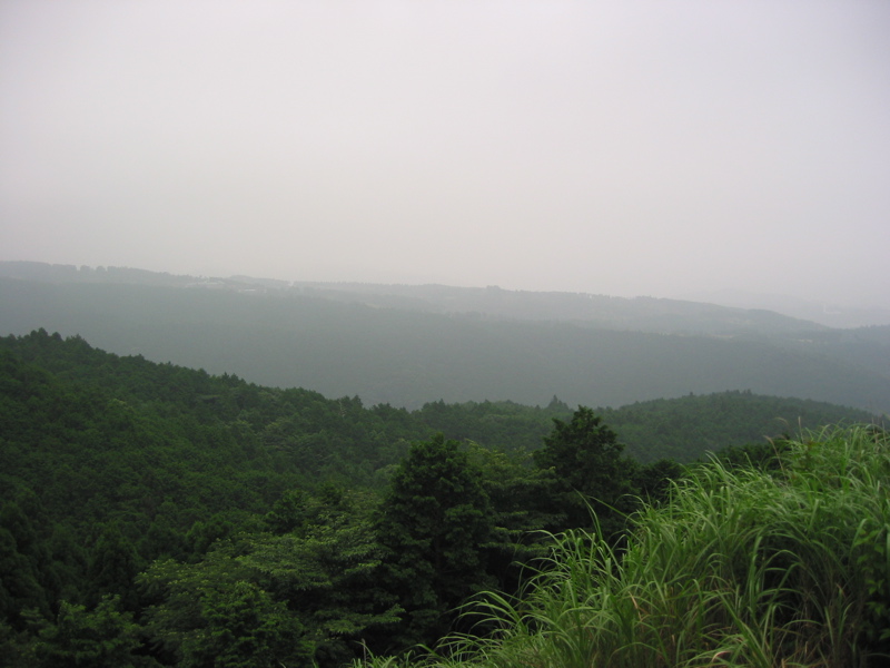 IMG_1155.JPG