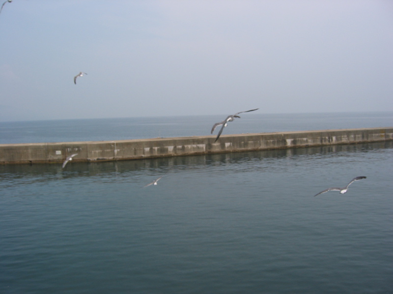 IMG_1595.JPG