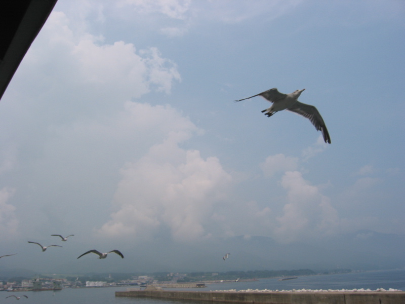 IMG_1596.JPG