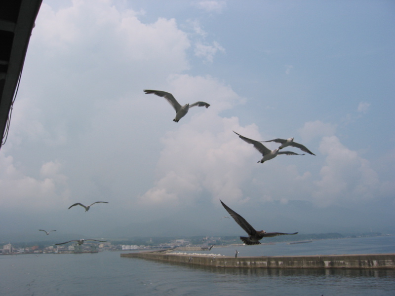 IMG_1600.JPG