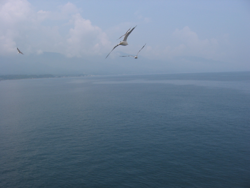 IMG_1605.JPG