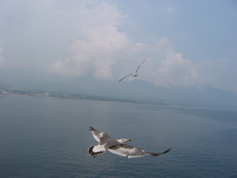 IMG_1609.JPG